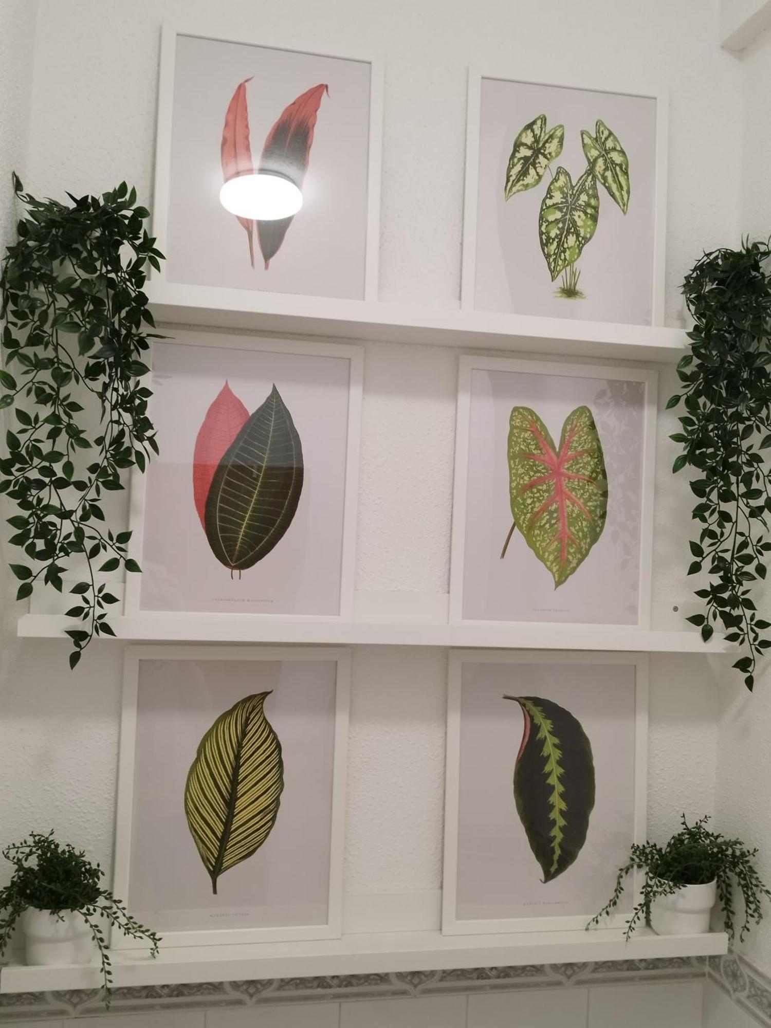 פוארטו דה לה קרוז Apartamento Jardin Del Mar מראה חיצוני תמונה